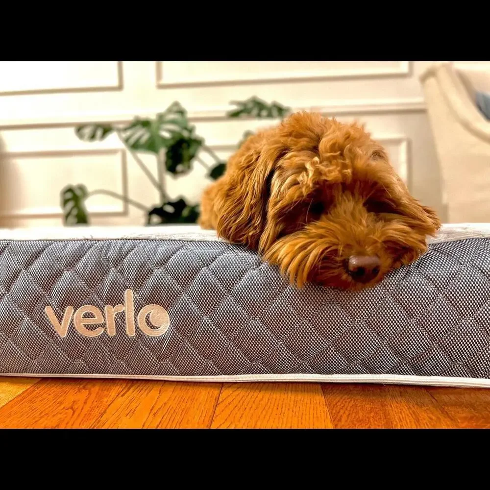 Verlo Mattress for Pets Size Small V5 Pet Dog/Cat Bed